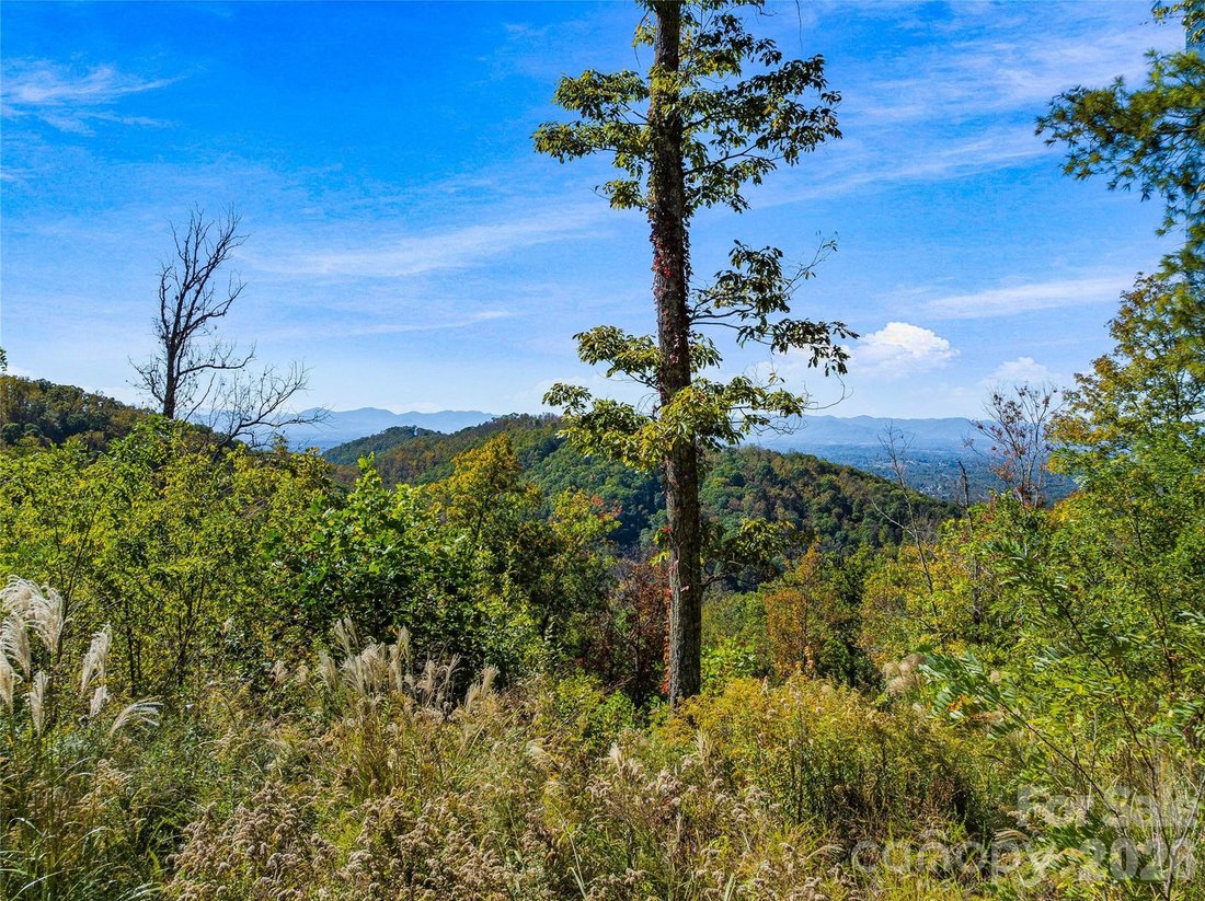 Terreno en Weaverville, Carolina del Norte, Estados Unidos 5 - 19186774