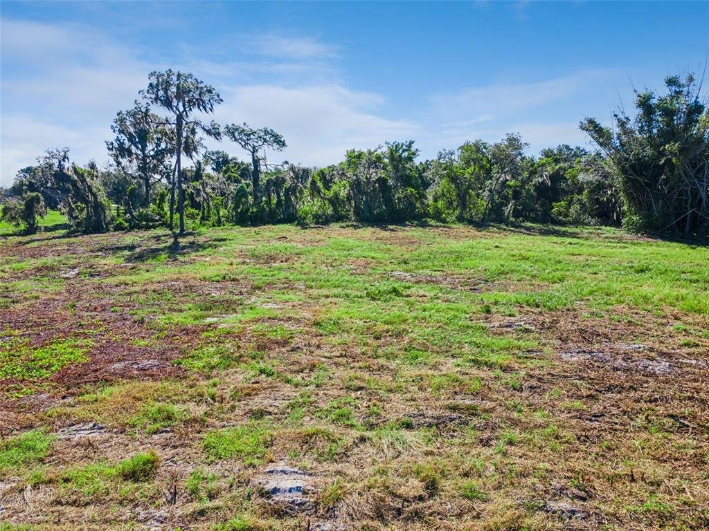 Terreno a Frostproof, Florida, Stati Uniti 3 - 19187490