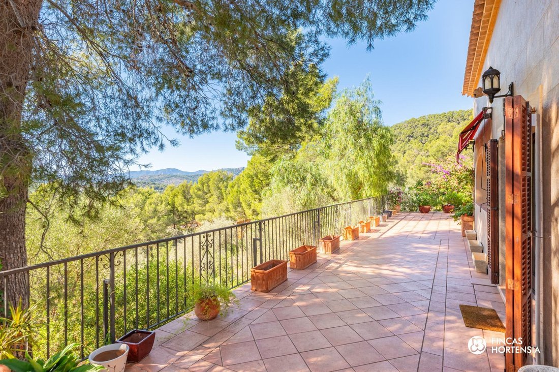 Villa in Bunyola, Balearische Inseln, Spanien 1 - 19188176