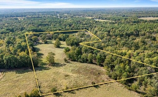 Farm Ranch in Scroggins, Texas, Vereinigte Staaten 1