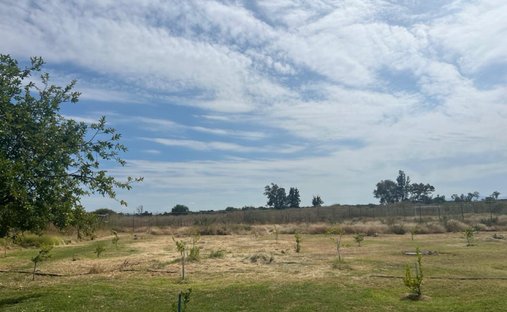 Land in León de los Aldama, Guanajuato, Mexiko 1