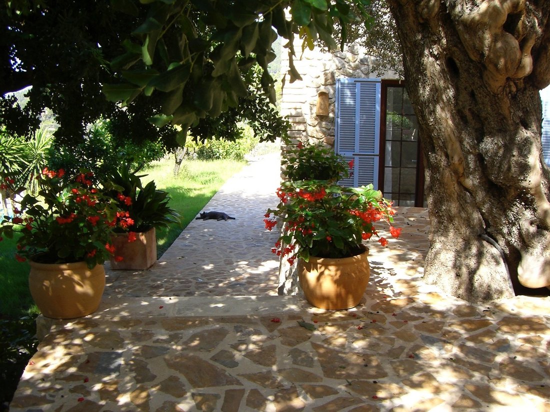 Finca en Estellenchs, Islas Baleares, España 3 - 19186109