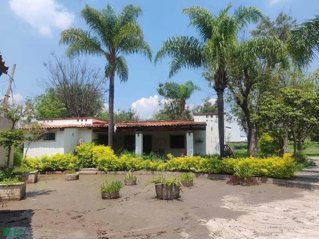 Terreno en Jardines de la Calera, Jalisco, México 4 - 19003317