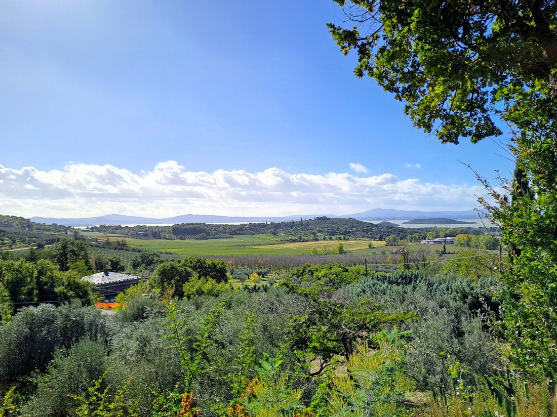 Villa en Passignano sul Trasimeno, Umbría, Italia 2 - 19186613