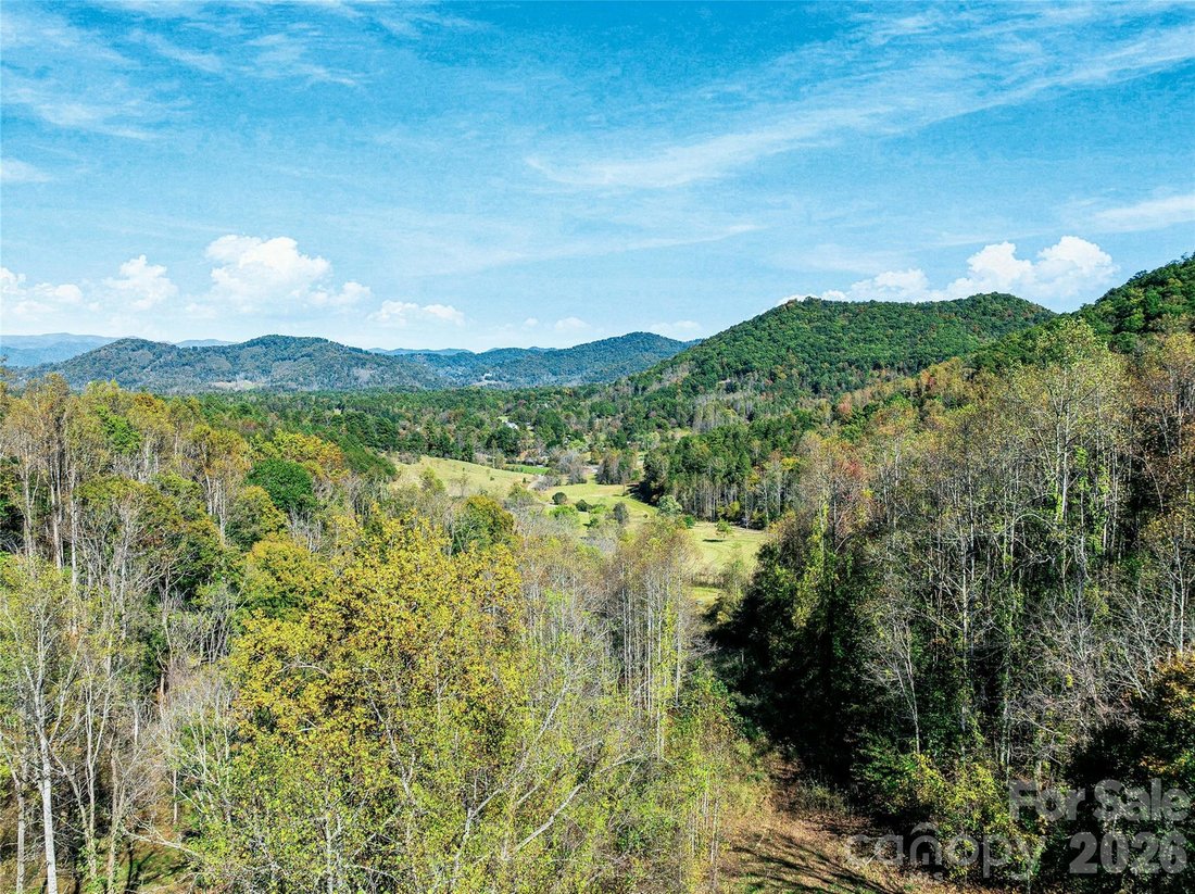 Terreno en Weaverville, Carolina del Norte, Estados Unidos 1 - 19186774