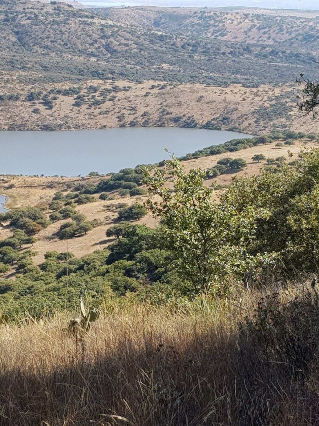 Land in Vergel de la Sierra, Guanajuato, Mexiko 5 - 19187675