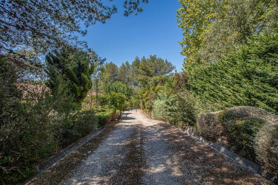Finca à Sintra, Lisbonne, Portugal 3 - 19186405