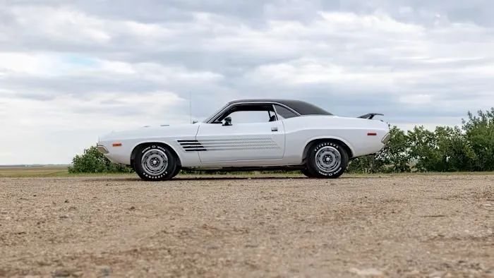 Coupe in Wolfforth, TX, United States 2 - 19186957