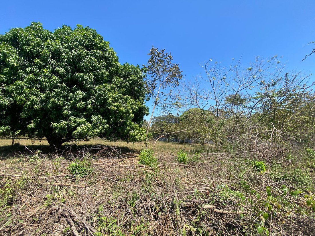 Land in Tivives, Provinz Puntarenas, Costa Rica 4 - 19188576