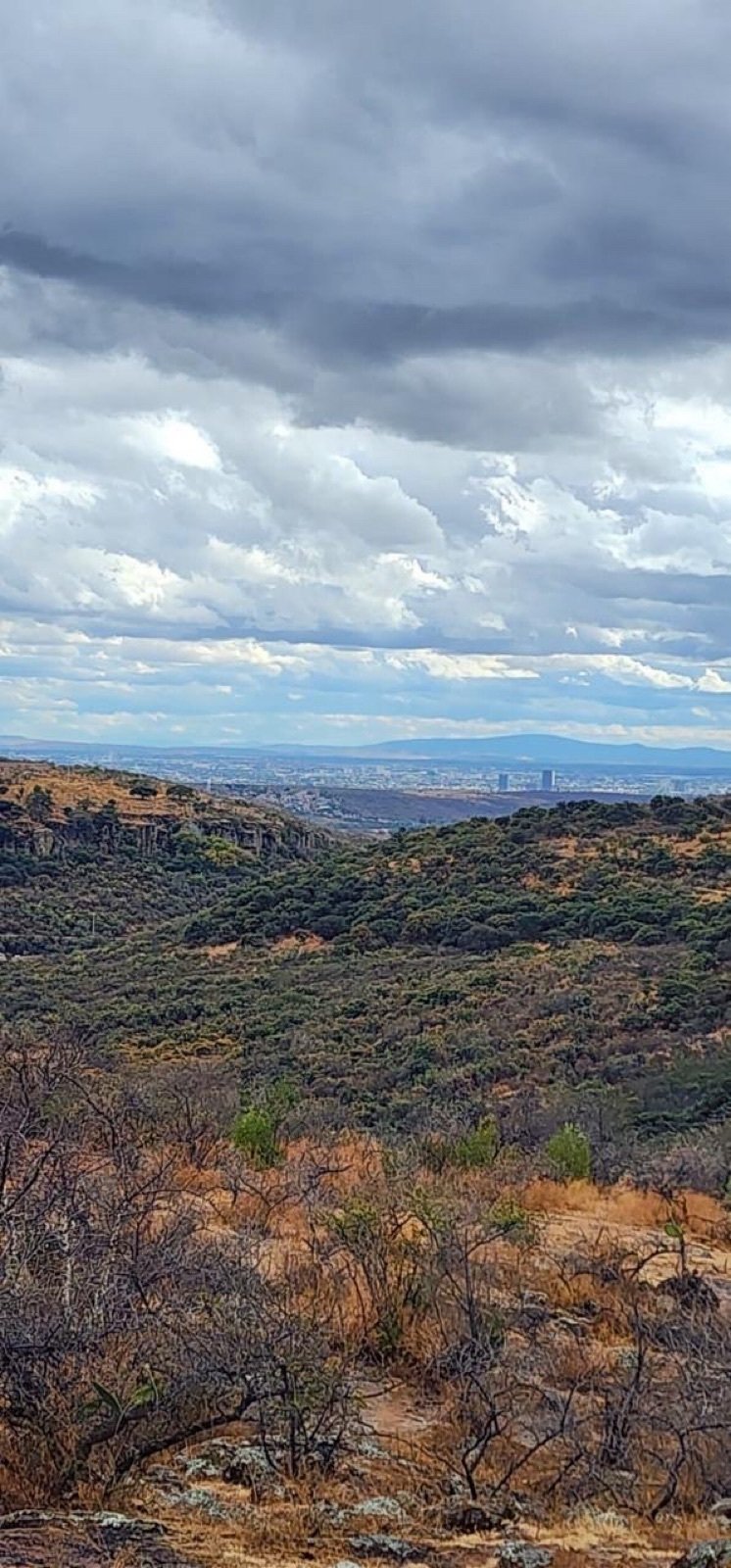 Land in León de los Aldama, Guanajuato, Mexiko 4 - 19187671