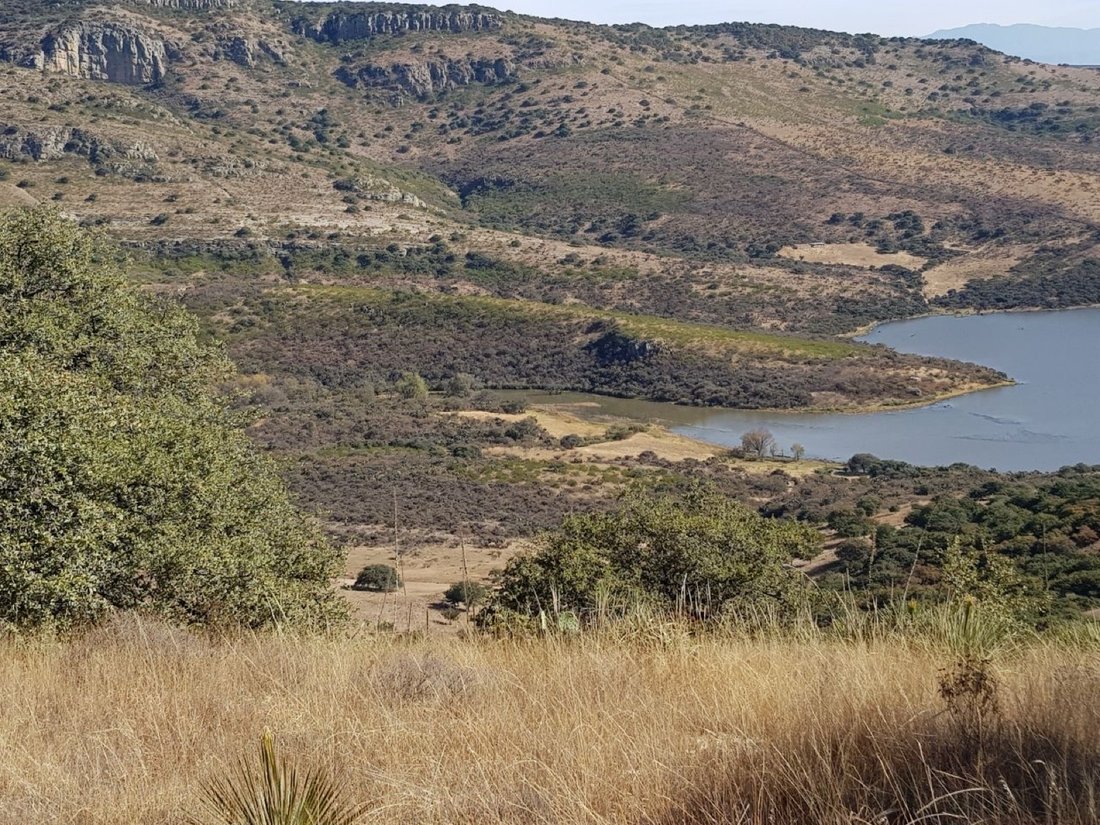 Land in Vergel de la Sierra, Guanajuato, Mexiko 3 - 19187675