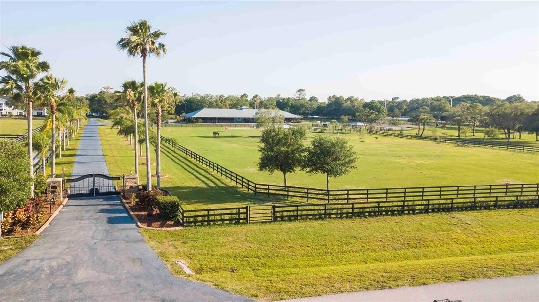 Farm Ranch in Sarasota, Florida, Vereinigte Staaten 3 - 19185024