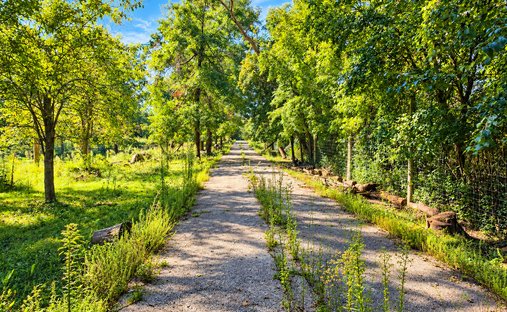 Farm Ranch in Wadsworth, Illinois, Vereinigte Staaten 1