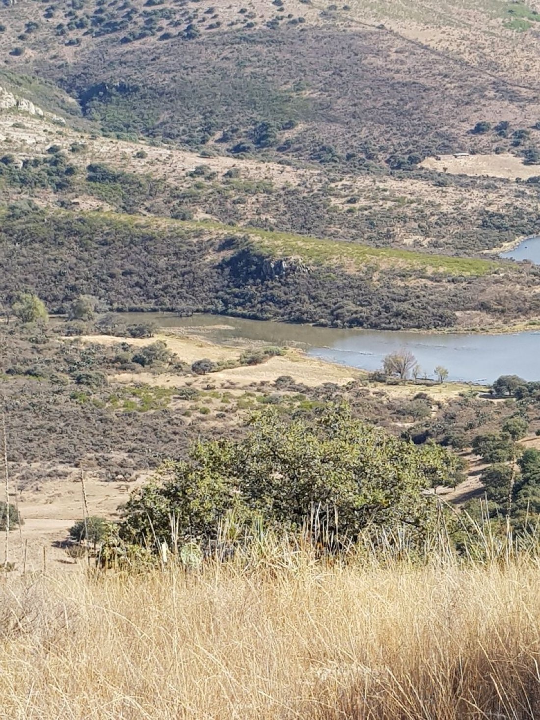 Land in Vergel de la Sierra, Guanajuato, Mexiko 4 - 19187675