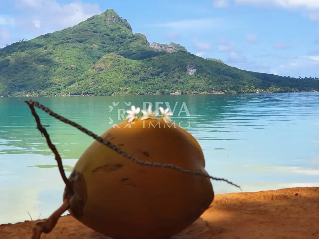 Land in Maupiti, French Polynesia 4 - 19186280