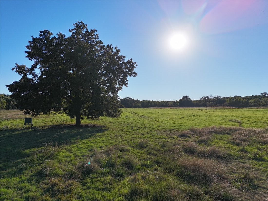 Land in Stephenville, Texas, Vereinigte Staaten 1 - 19186790