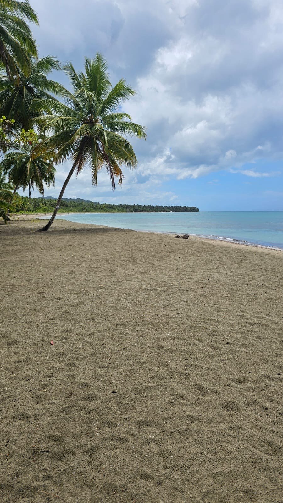 Land in Villa Magante, Espaillat Province, Dominican Republic 2 - 19188354