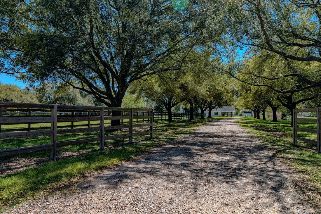 House in Houston, Texas, United States 4 - 19185653