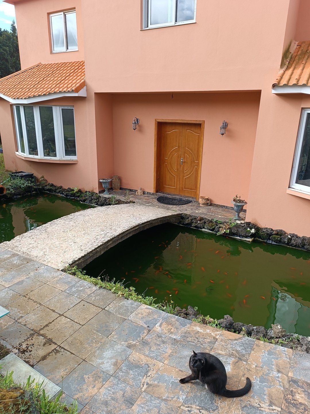 Villa in Capelo, Azores, Portugal 3 - 19186603