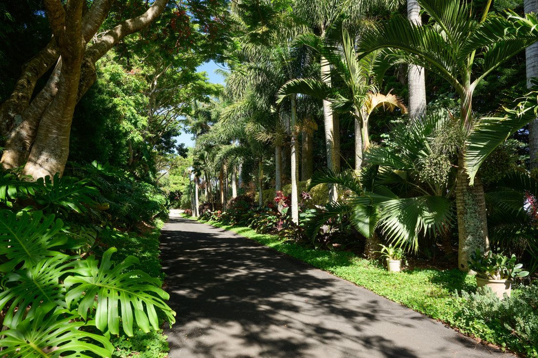 Apartment in Haiku-Pauwela, Hawaii, United States 5 - 19189462