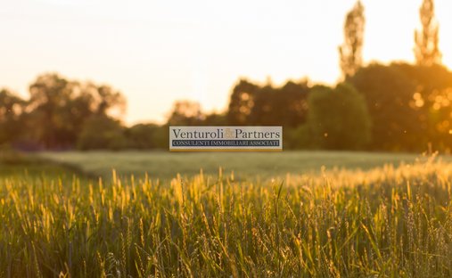 Land in Entroterra, Desenzano del Garda, Lombardei 1