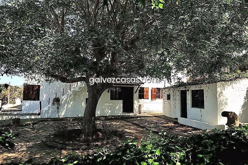 Haus in Tegueste, Kanarische Inseln, Spanien 3 - 19191146