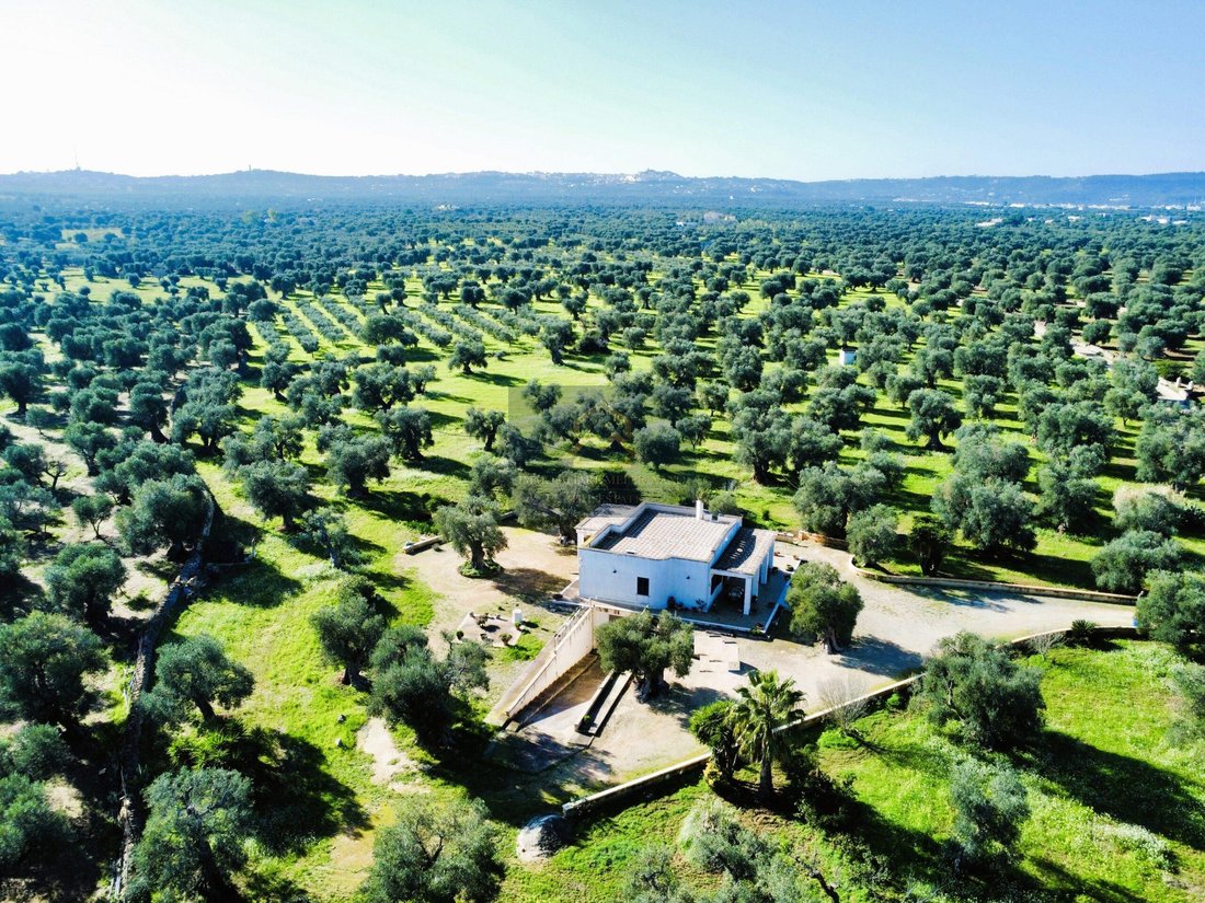 Villa in Ostuni, Apulien, Italien 1 - 19190470