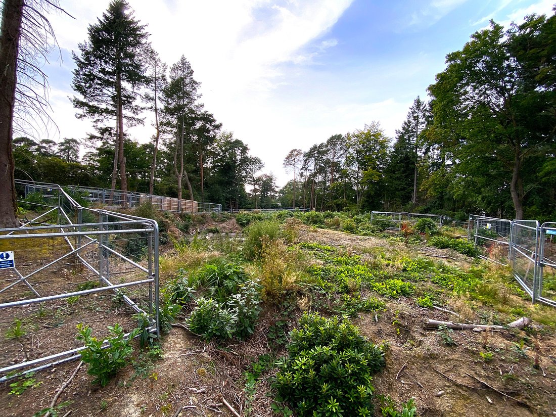 Land in Brooklands, Elmbridge, England 4 - 19191228