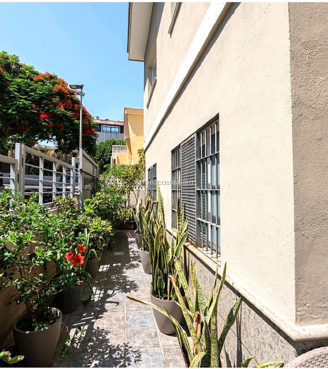 Haus in Ofra-Costa Sur, Santa Cruz de Tenerife, Spanien 5 - 19191255