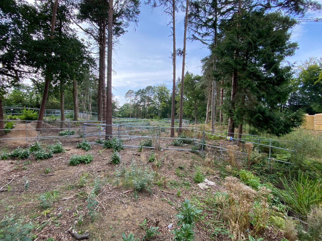Land in Brooklands, Elmbridge, England 1 - 19191228