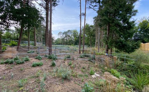 Land in Brooklands, Elmbridge, England 1