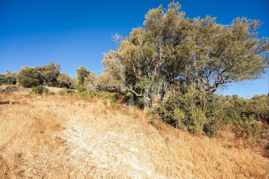 Terreno a Loule (Sao Clemente), Algarve, Portogallo 4 - 19191074