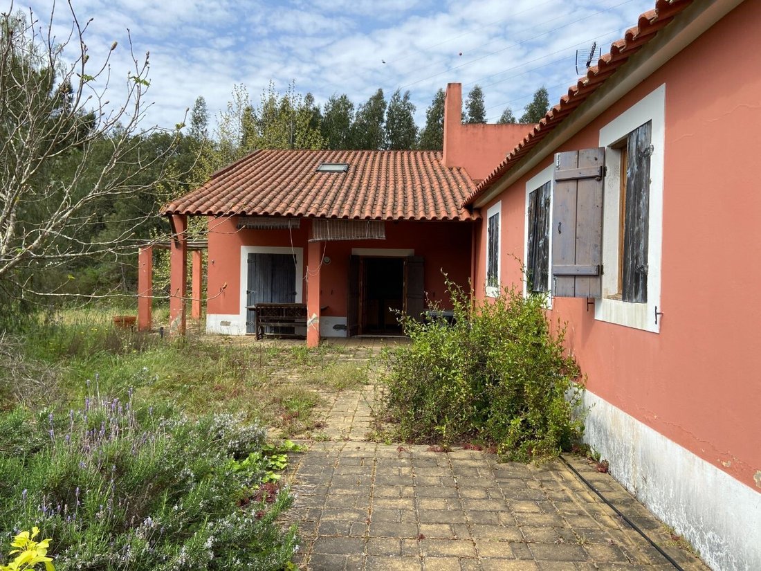 Estate in Aveiras de Baixo, Lisbon, Portugal 5 - 19194131