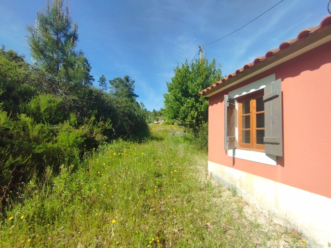 Estate in Aveiras de Baixo, Lisbon, Portugal 3 - 19194131