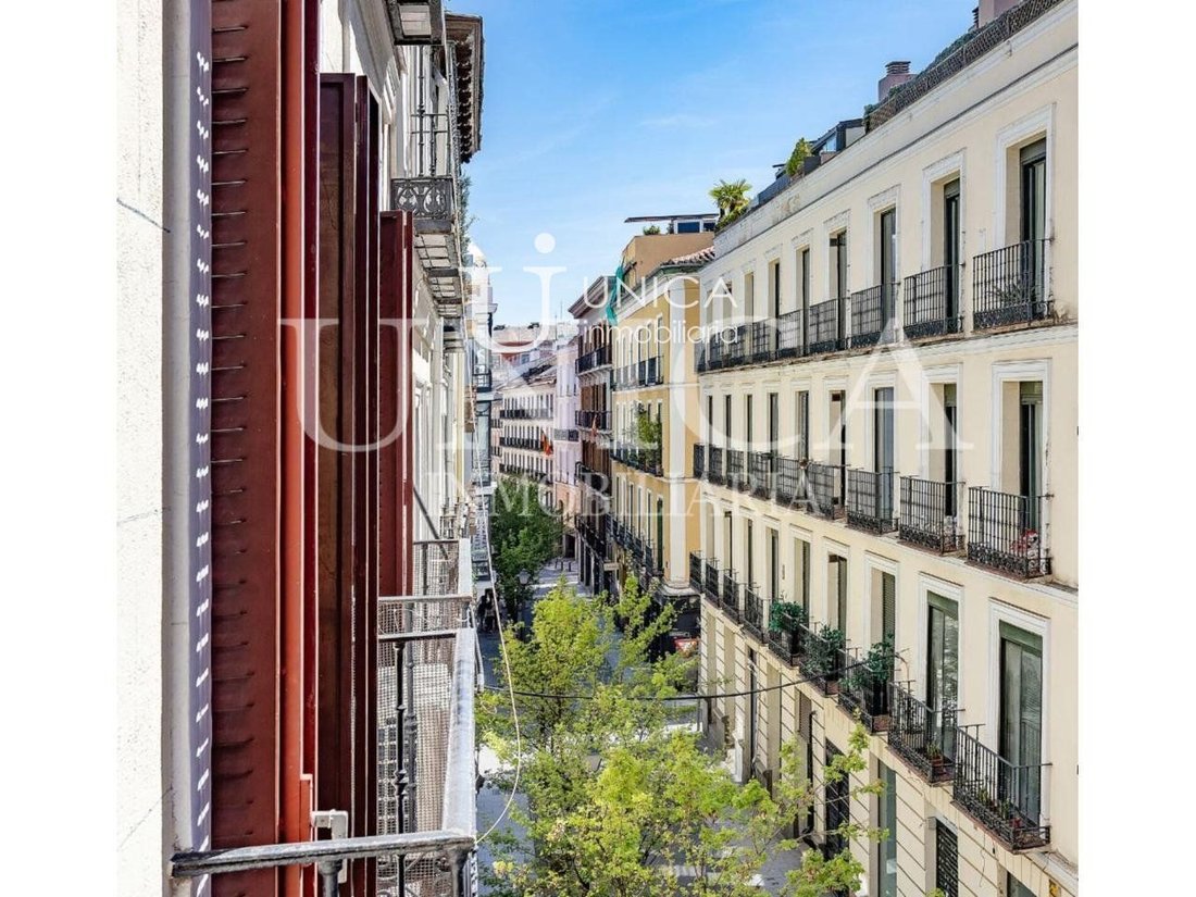 Apartment in Centro, Madrid, Spain 3 - 19192083