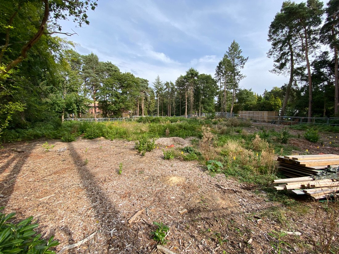 Land in Brooklands, Elmbridge, England 2 - 19191228