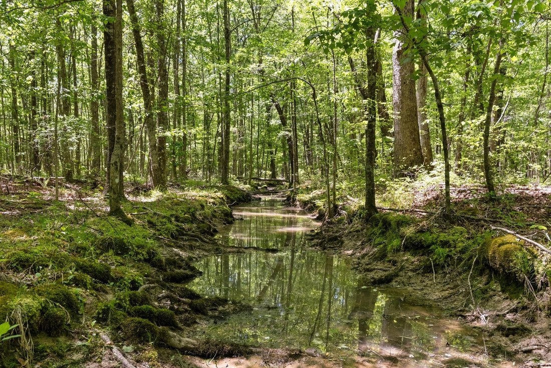 Terreno a Bradyville, Tennessee, Stati Uniti 1 - 19194239