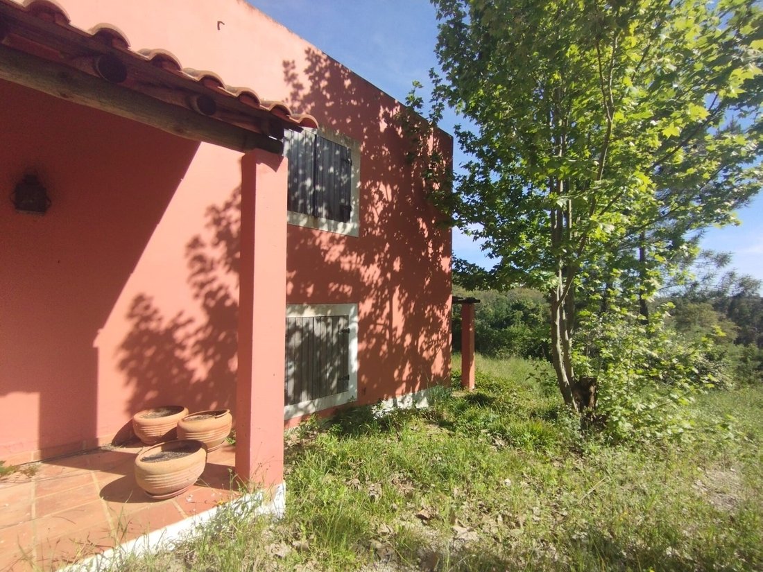 Estate in Aveiras de Baixo, Lisbon, Portugal 4 - 19194131