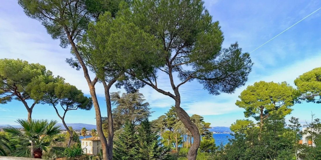 Villa a Antibes, Provenza-Alpi-Costa Azzurra, Francia 1 - 19190205