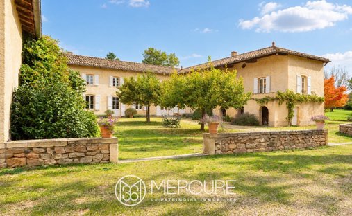 Finca en Romanèche-Thorins, Borgoña-Franco Condado, Francia 1