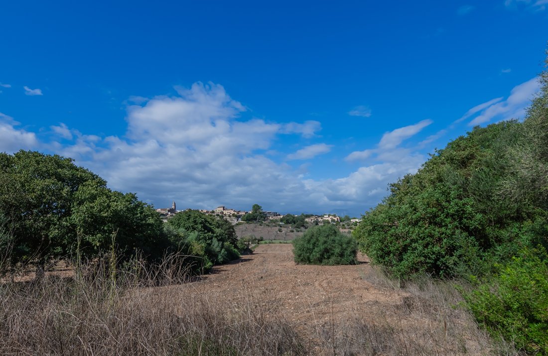 Terreno a Costitx, Isole Baleari, Spagna 1 - 19189712
