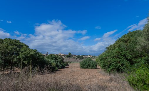 Land in Costitx, Balearische Inseln, Spanien 1