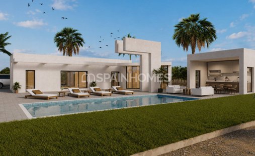 Villa in Benejuzar, Valencian Community, Spain 1