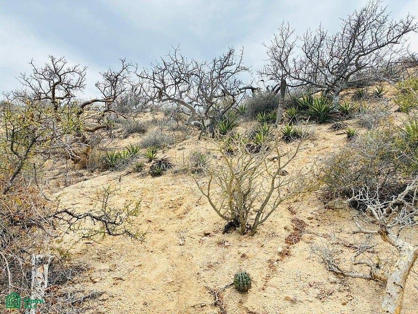 Terreno en El Sargento, Baja California Sur, México 4 - 19192783
