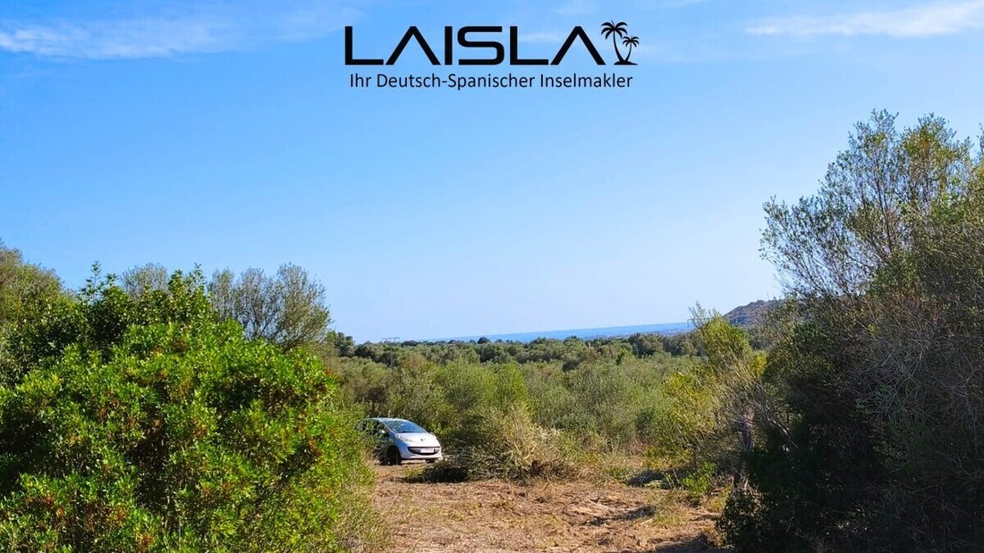 Land in Sant Llorenç des Cardassar, Balearische Inseln, Spanien 4 - 19190674