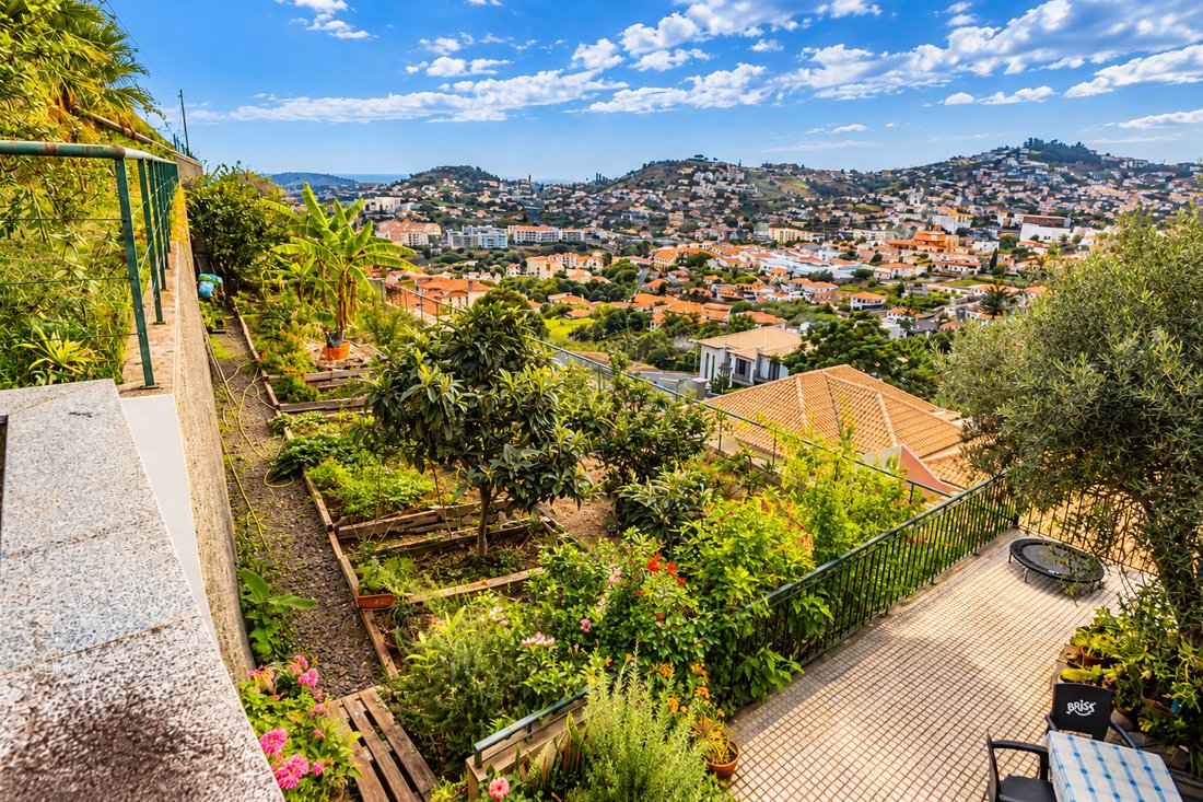 House in Sao Roque, Madeira, Portugal 1 - 19189624