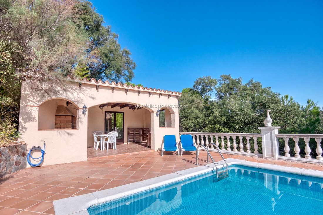 Chalet in Santa Cristina d'Aro, Catalonia, Spain 2 - 19193091