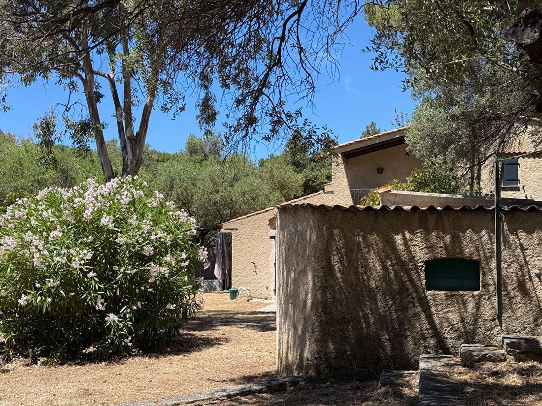 Casa a Cargèse, Corsica, Francia 3 - 19191348