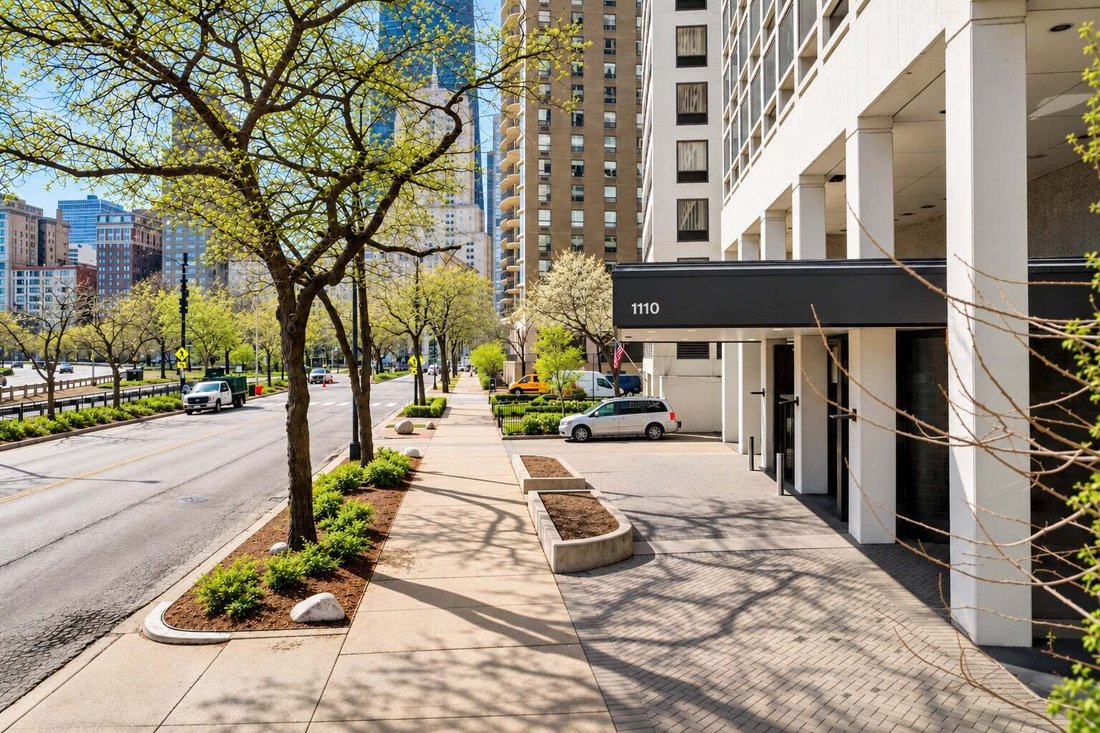 Appartement à Chicago, Illinois, États-Unis 2 - 19193426