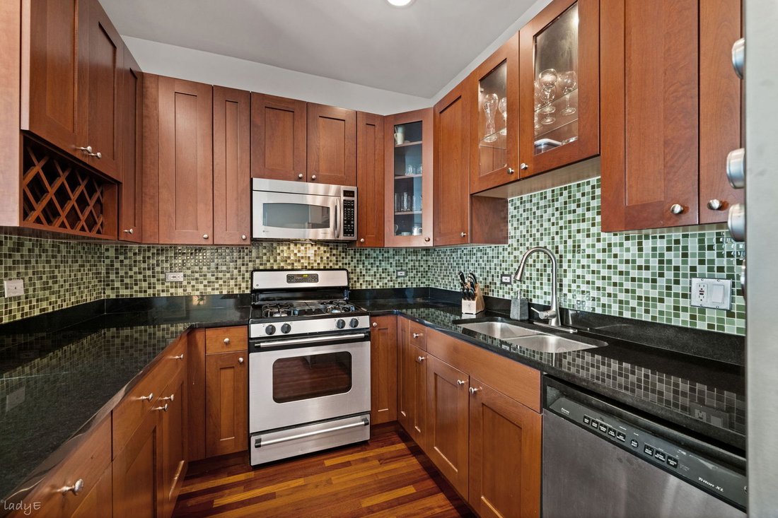 Condo in Chicago, Illinois, United States 5 - 19190135